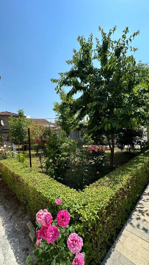 Js House Shkoder 1アパートメント エクステリア 写真
